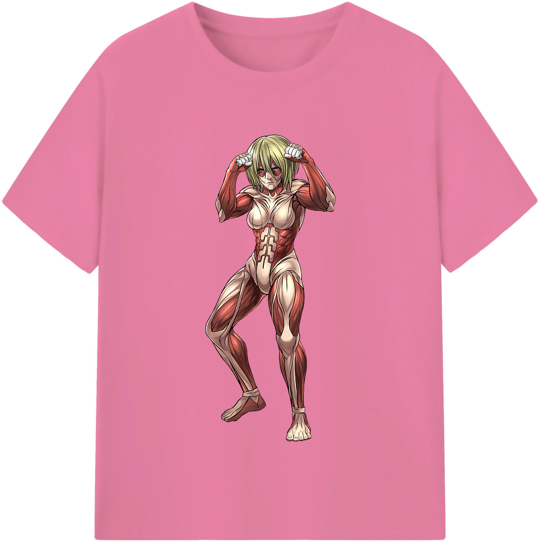 （画像用） 進撃の巨人 Attack on Titan 綿100％半袖Tシャツ（フロントプリント）